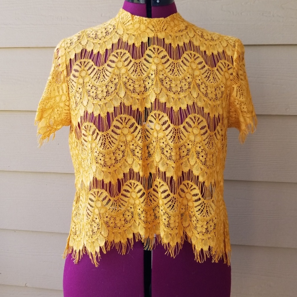 NWOT Beautiful Golden Lacey Blouse